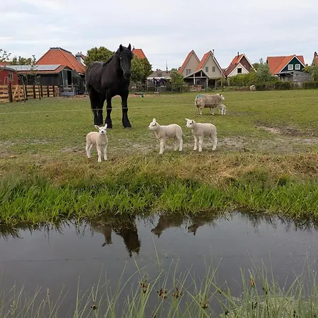 Herdershut 'de Skoeboet', Vlakbij Zee