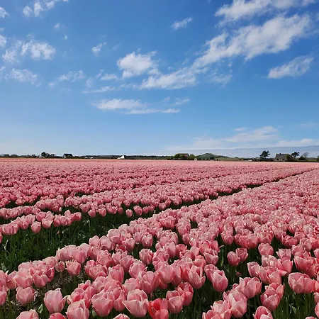 Herdershut 'de Skoeboet', Vlakbij Zee Sint Maartensbrug