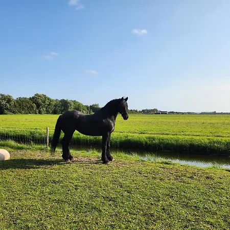 Апартаменты Herdershut 'de Skoeboet', Vlakbij Zee Sint Maartensbrug